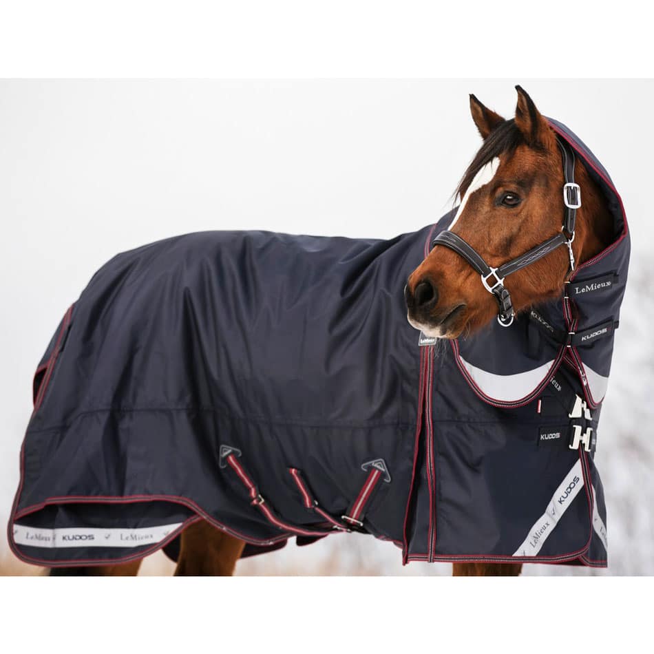 lemieux horse rug