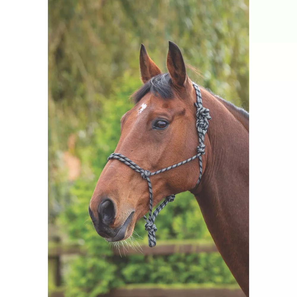 Shires Equestrian Rope Control Halter
