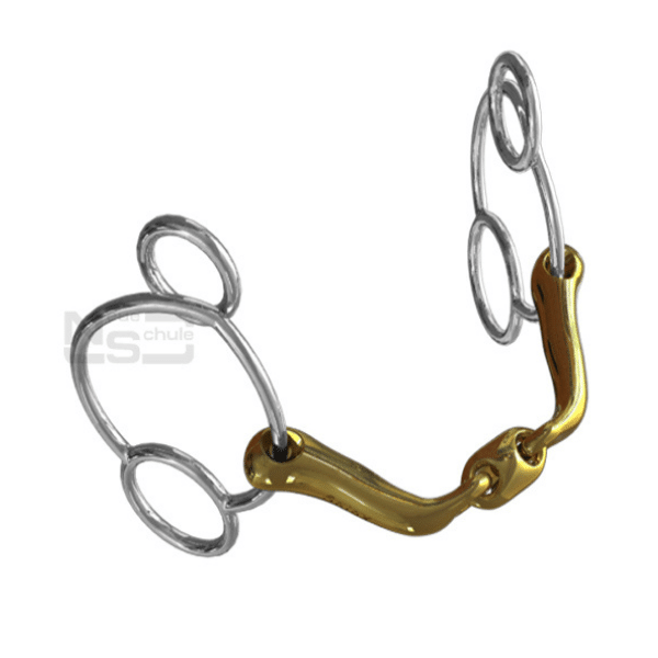 Neue Schule Verbindend Universal