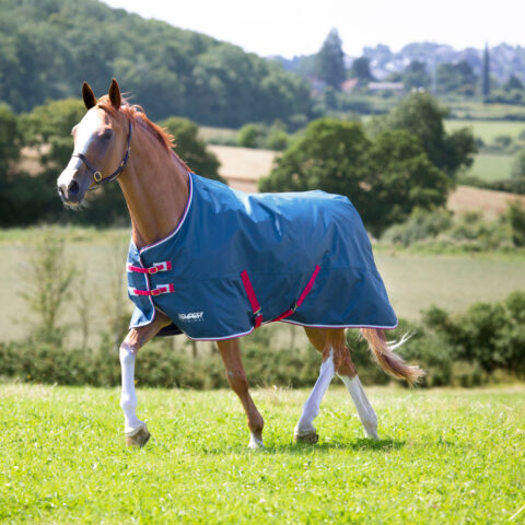 Tempest Original Lite Turnout Standard