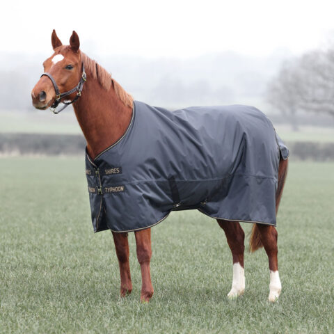 Typhoon 50gm Standard Turnout Rug