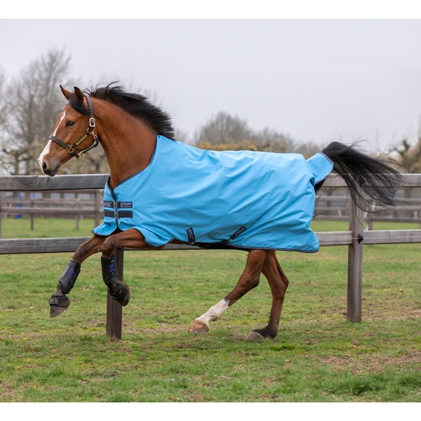 Amigo Hero Lite Turnout Rug Capri 5ft6 & 7ft