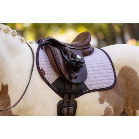 LeMieux Mini CC Saddle Pad AW25