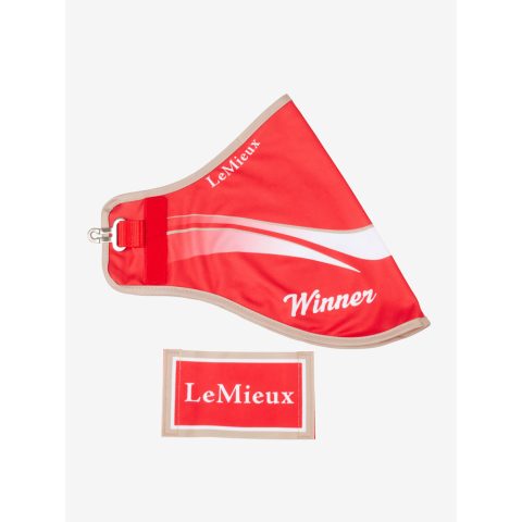 LeMieux Hobby Horse Winners Rug