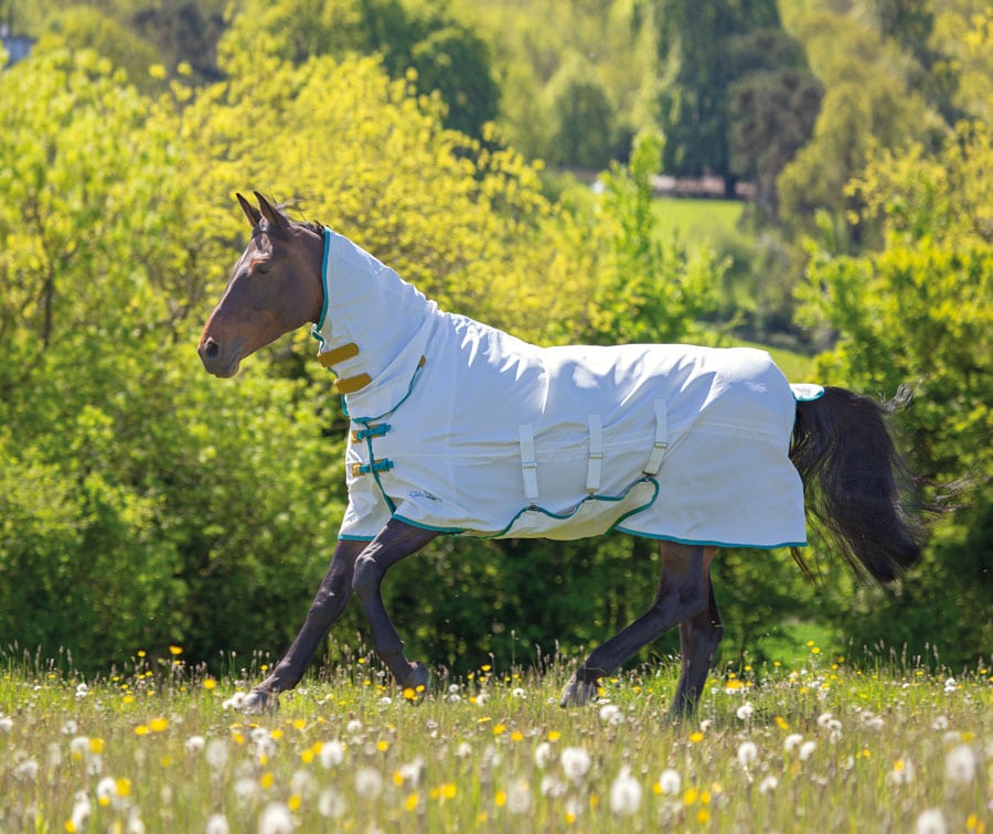 Shires Tempest Plus Sweet Itch Combo Rug