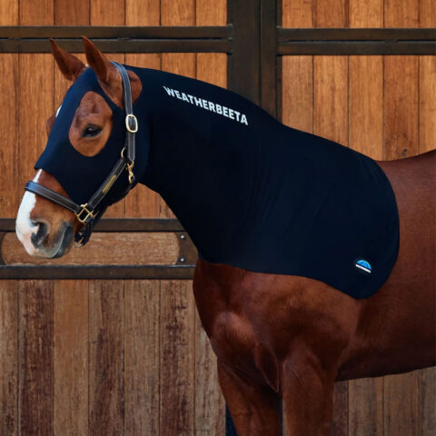 Weatherbeeta Stretch Hood Black