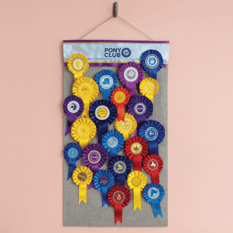 Equetech Pony Club Rosette Holder