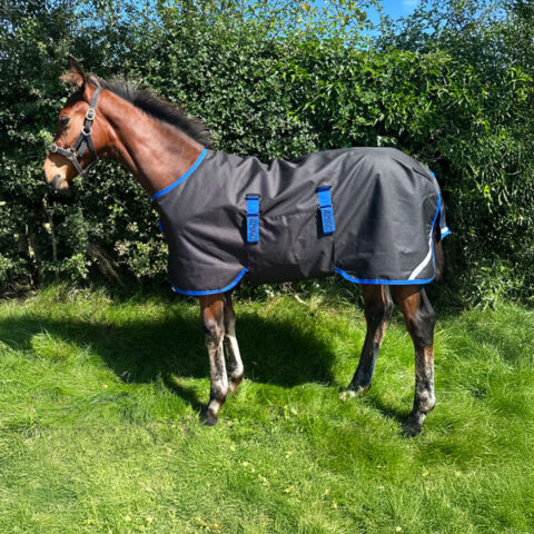 Amigo Ripstop 900D Foal Turnout Rug 50gm