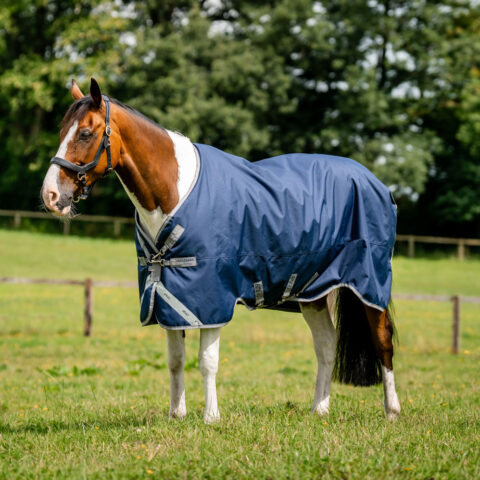 Amigo Bravo 12 XL 250gm Turnout Rug Navy/Titanium