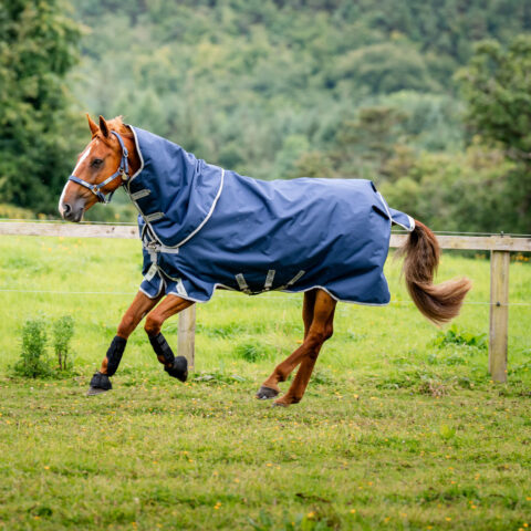 Amigo Bravo 12 Plus 250gm Turnout