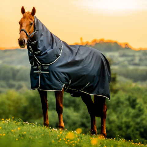 Amigo Ripstop 900D 100gm Plus Turnout Rug Witney Navy