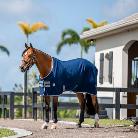 Amigo Stable Sheet Navy/Titanium