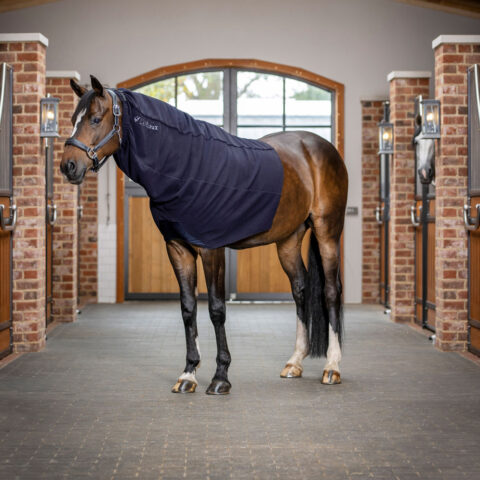 LeMieux Arika Fleece Hood Navy