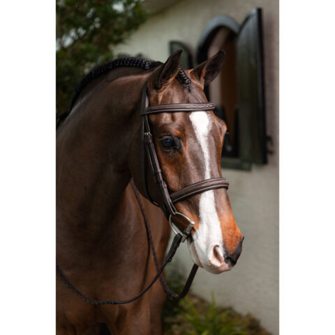 LeMieux Stitched Hunter Bridle with Laced Reins