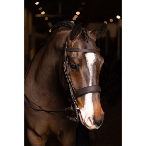 LeMieux Flat Hunter Bridle with Laced Reins