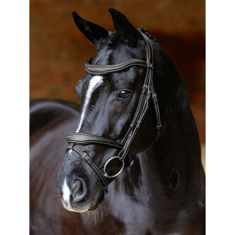 LeMieux Kudos Contour Flash Bridle