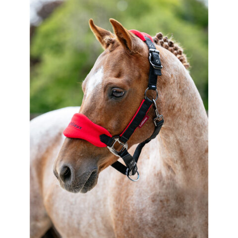 LeMieux Mini Vogue Headcollar Set Chilli Red
