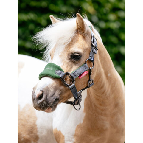 LeMieux Mini Vogue Headcollar Set Hunter Green