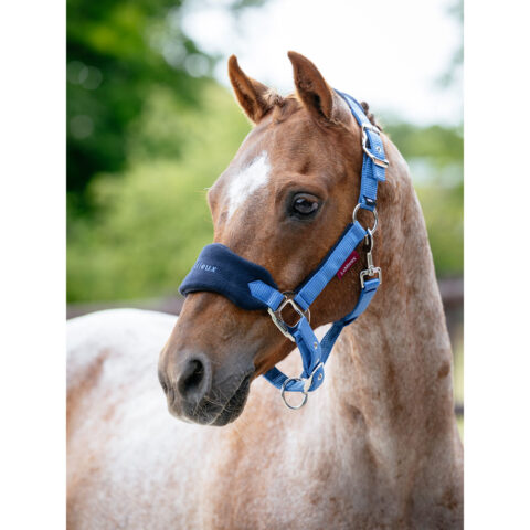 LeMieux Mini Vogue Headcollar Set Benetton Blue