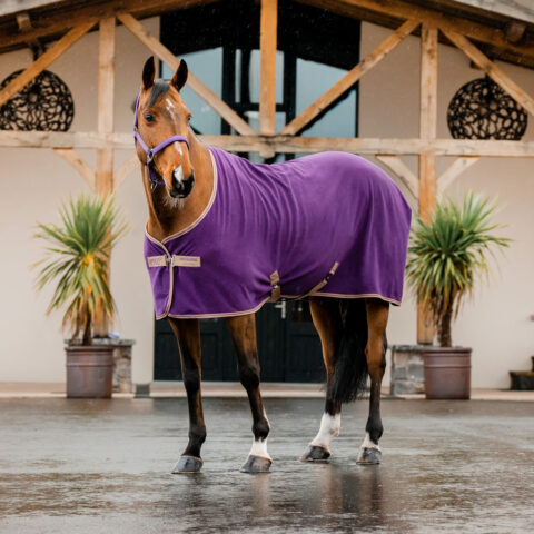 Amigo Fleece Cooler Winterberry