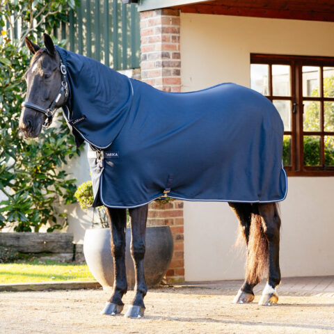 LeMieux Arika DryEase Rug Navy