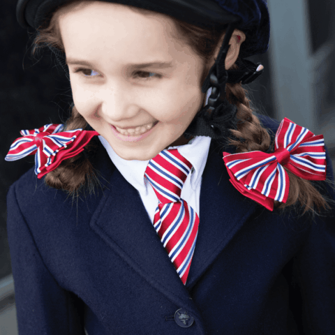 Equetech Luxury Regent Stripe Junior Showing Accessories