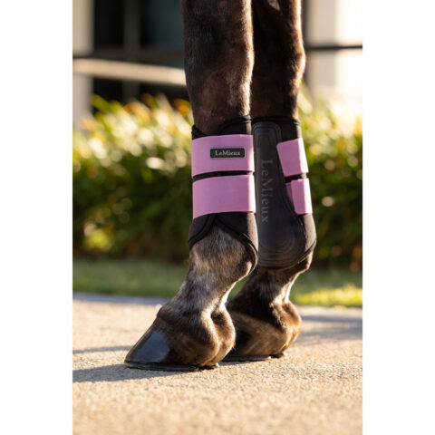 LeMieux Grafter Brushing Boots SS26