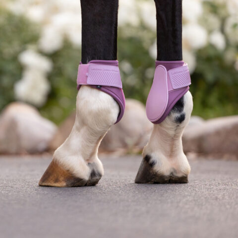 LeMieux Arika Fetlock Boots