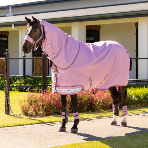 LeMieux Arika Ripstop 0gm Turnout Rug Fondant