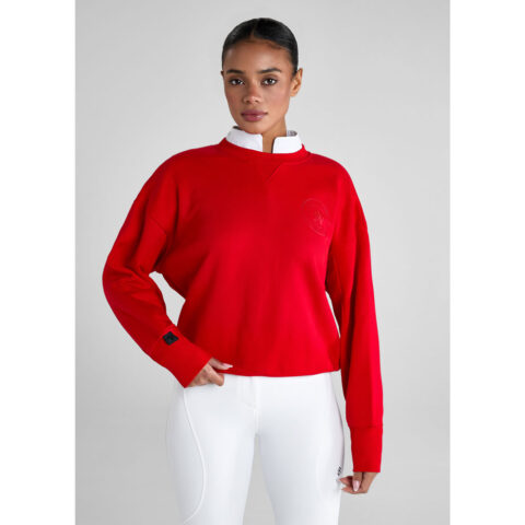Aztec Diamond Crew Neck Sweater Crimson