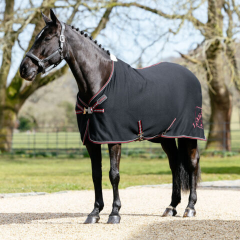 LeMieux Kudos Bamboo Cooler Rug Black